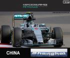 Rosberg G.P Çin 2015